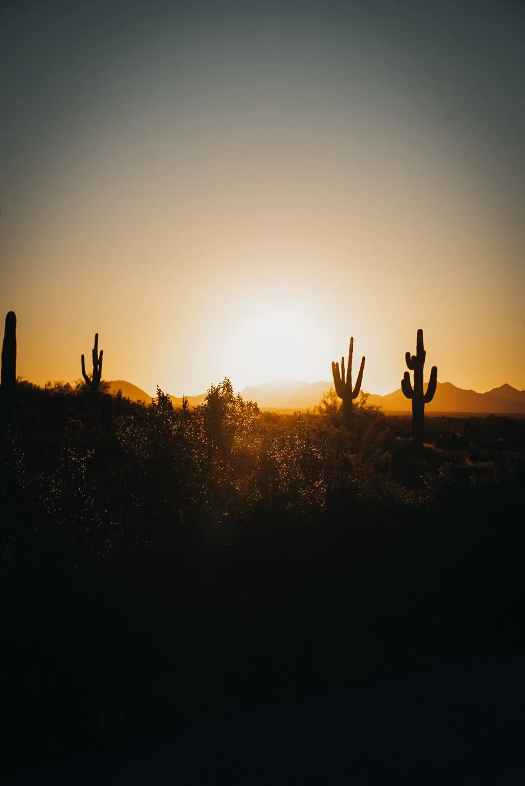 Sonoran Preserve | Arizona
