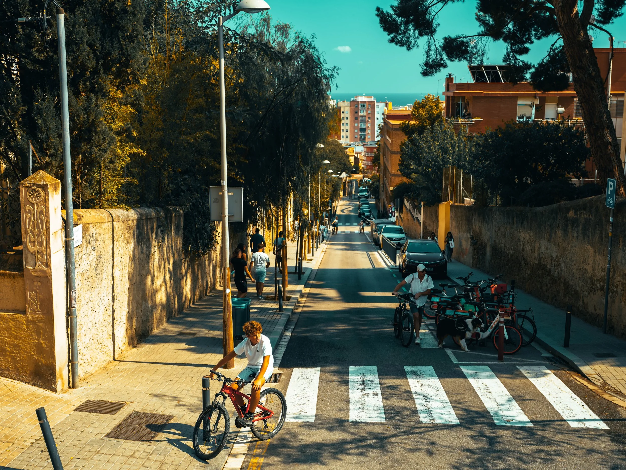 240826_Barcelona_park guell city 2.jpg