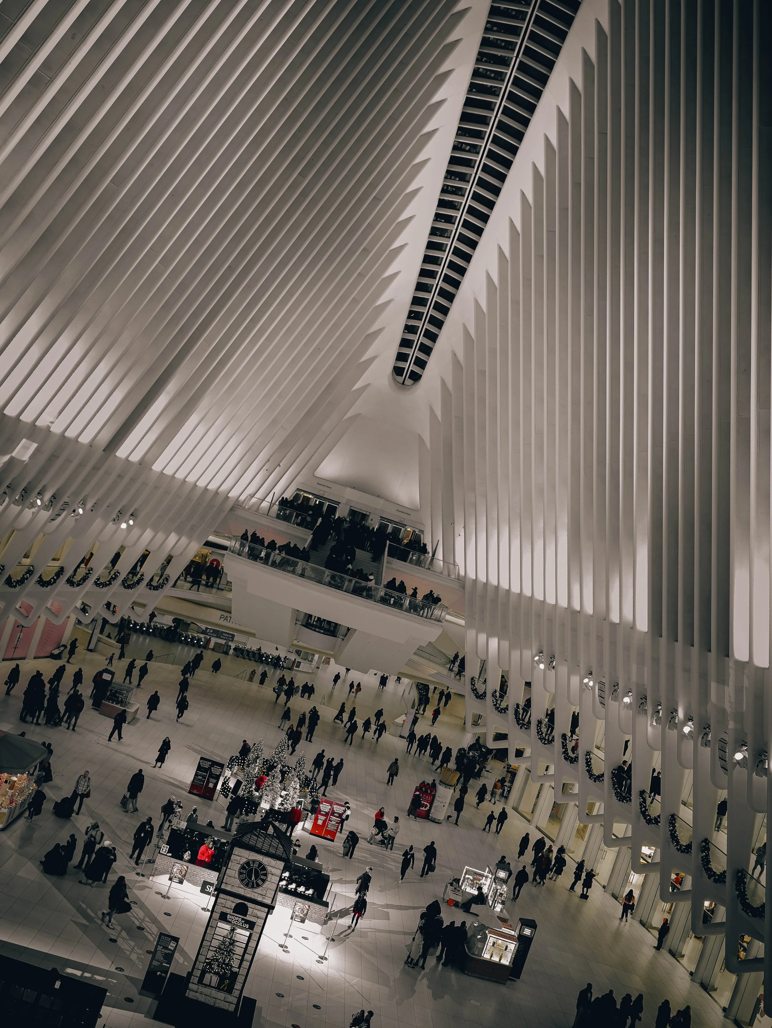 Oculus | New York