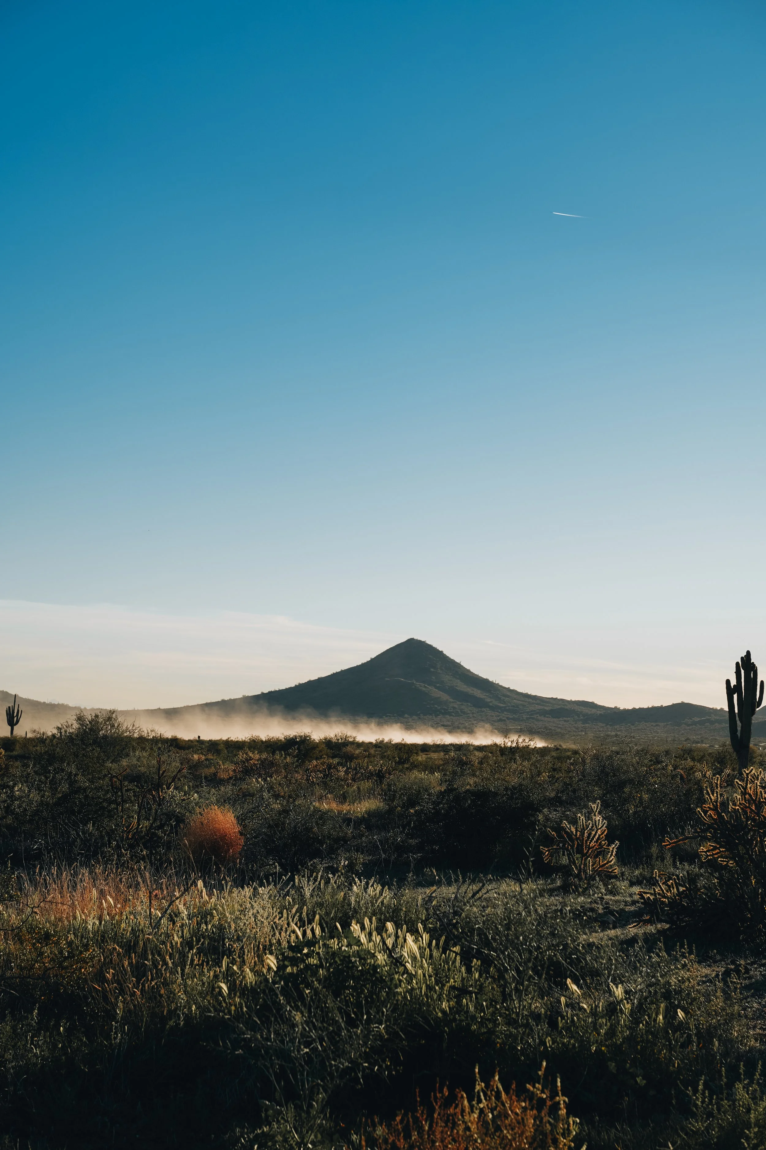 Sonoran Preserve | Phoenix