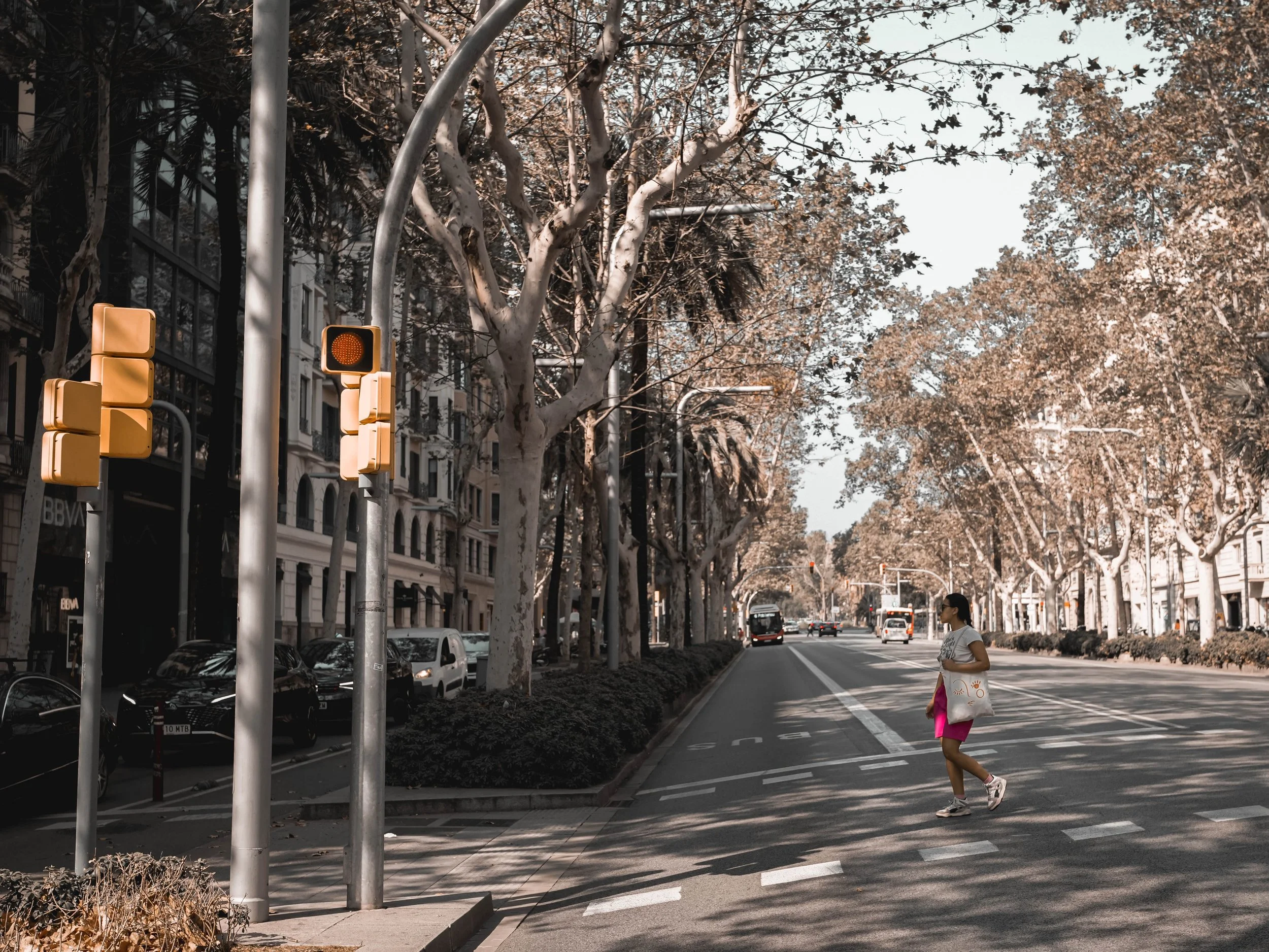 240824_Barcelona_crossing the street.jpg