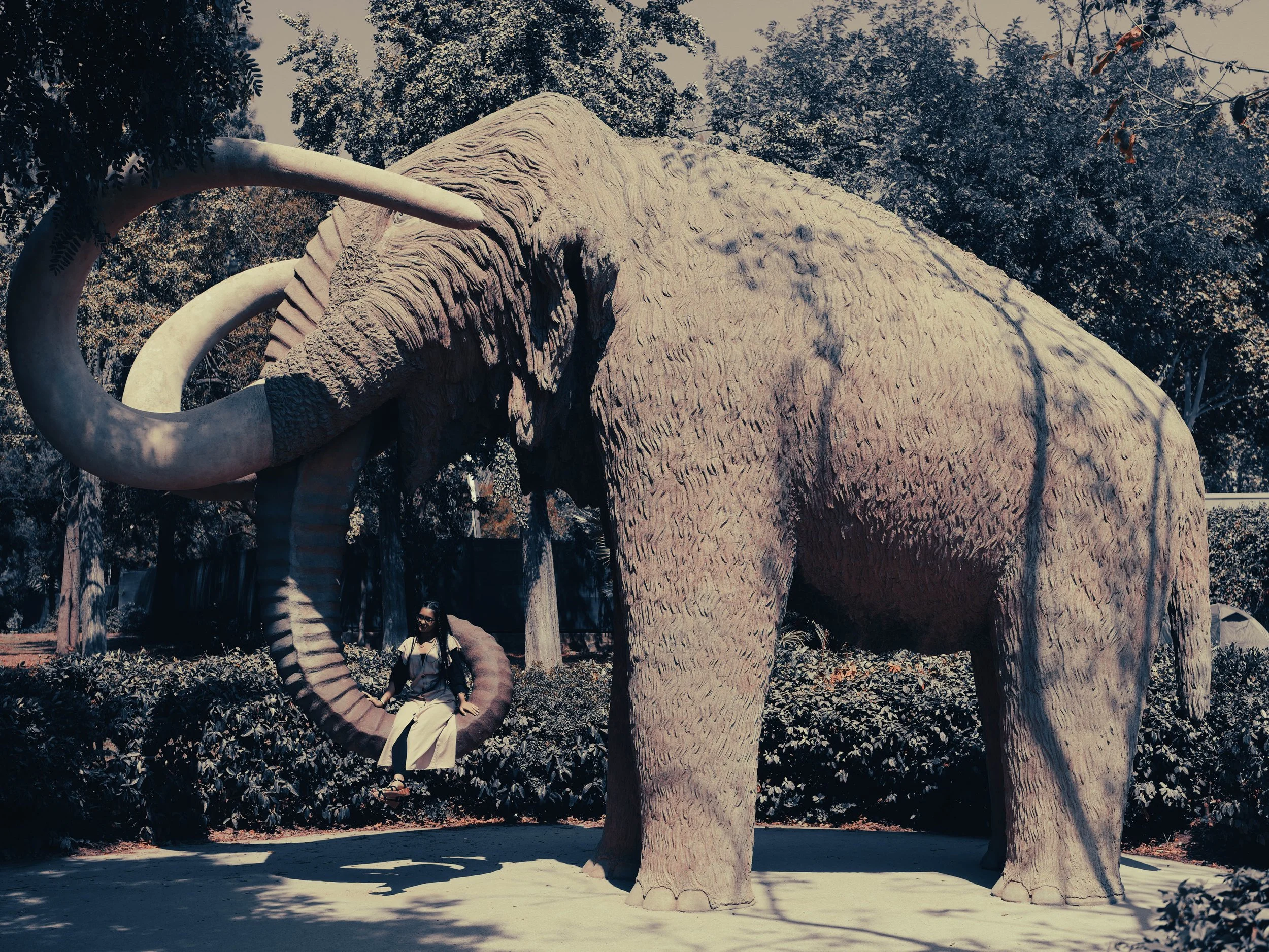 240824_Barcelona_wooly mamoth.jpg