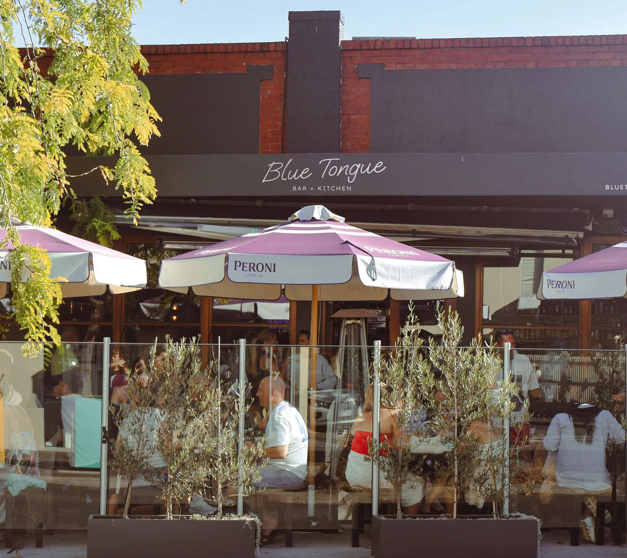 Outdoor seating area of Blue Tongue bar and kitchen with purple and white umbrellas, potted plants, and people dining