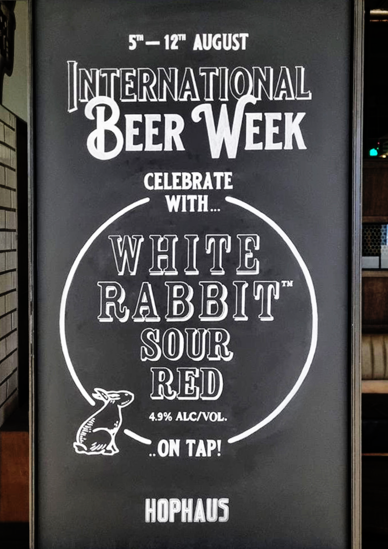 Chalkboard sign announcing International Beer Week from August 5th to 12th, celebrating with White Rabbit Sour Red beer, 4.9% alcohol, on tap at HopHaus. Includes illustration of a rabbit.