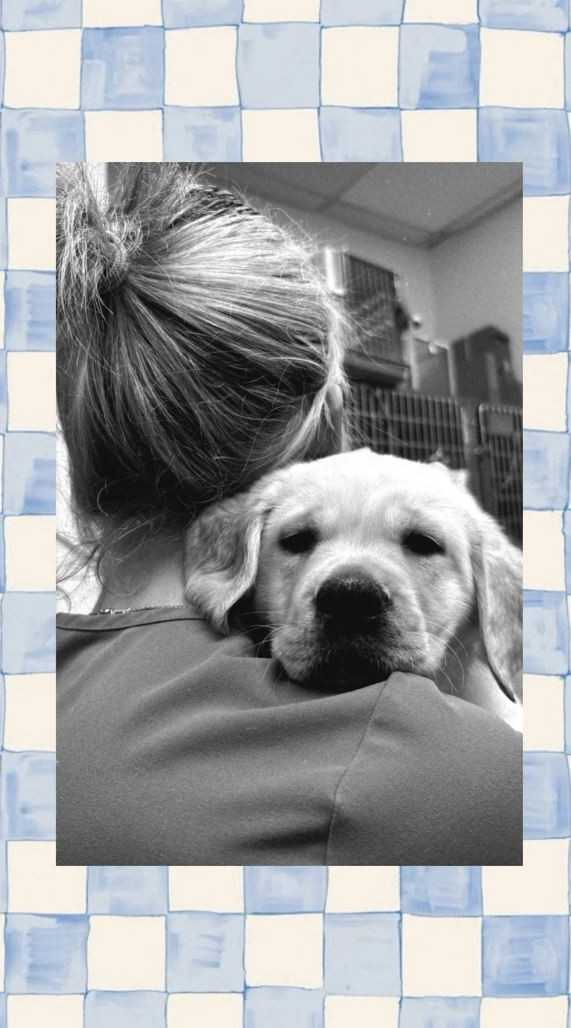 Black and white photo of a woman hugging a Labrador Retriever puppy, with her back to the camera, in an indoor kennel setting.
