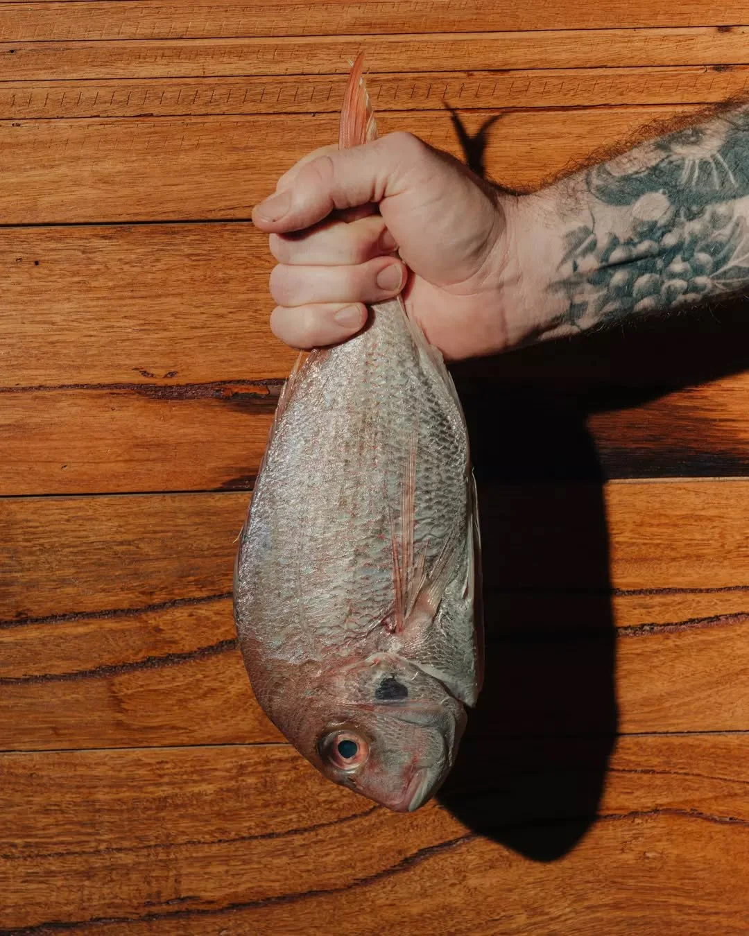 Australian seafood really is some of the best in the world.

Want to make a booking? Link in bio!

📍 8 Station St, Seaford VIC 3198