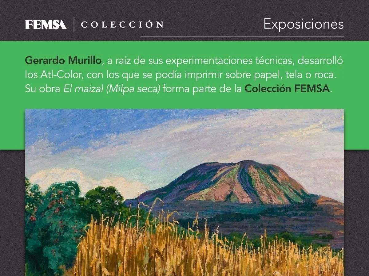 Colección FEMSA: "Constelaciones y Derivas"