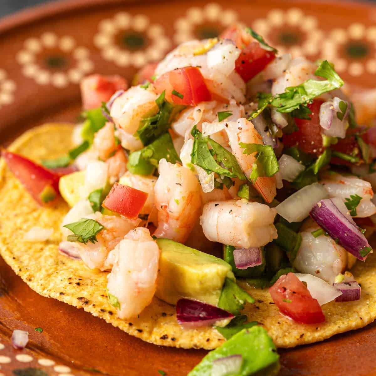 Shrimp-Ceviche-Ceviche-de-Camaron-square.jpg