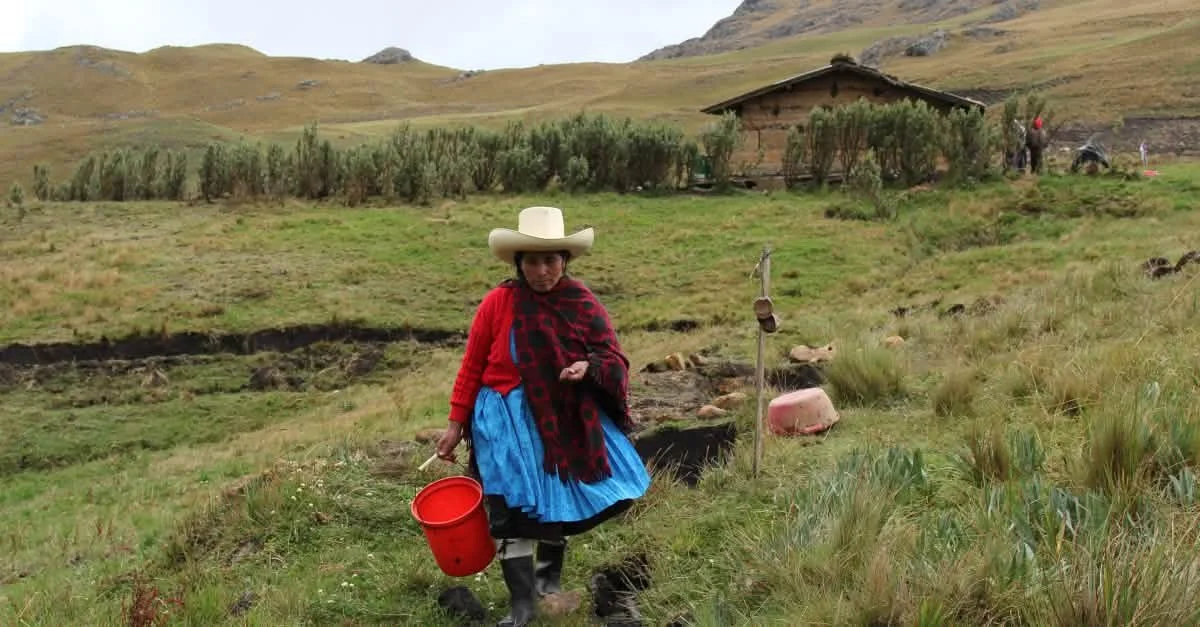 2016-maximaacuna-06.jpg
