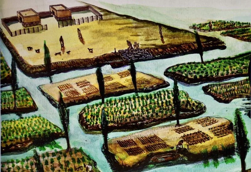 chinampa.jpg