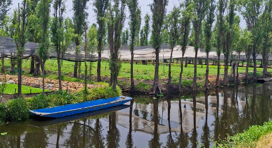 Las chinampas: el imperio hidropónico que domesticó al agua