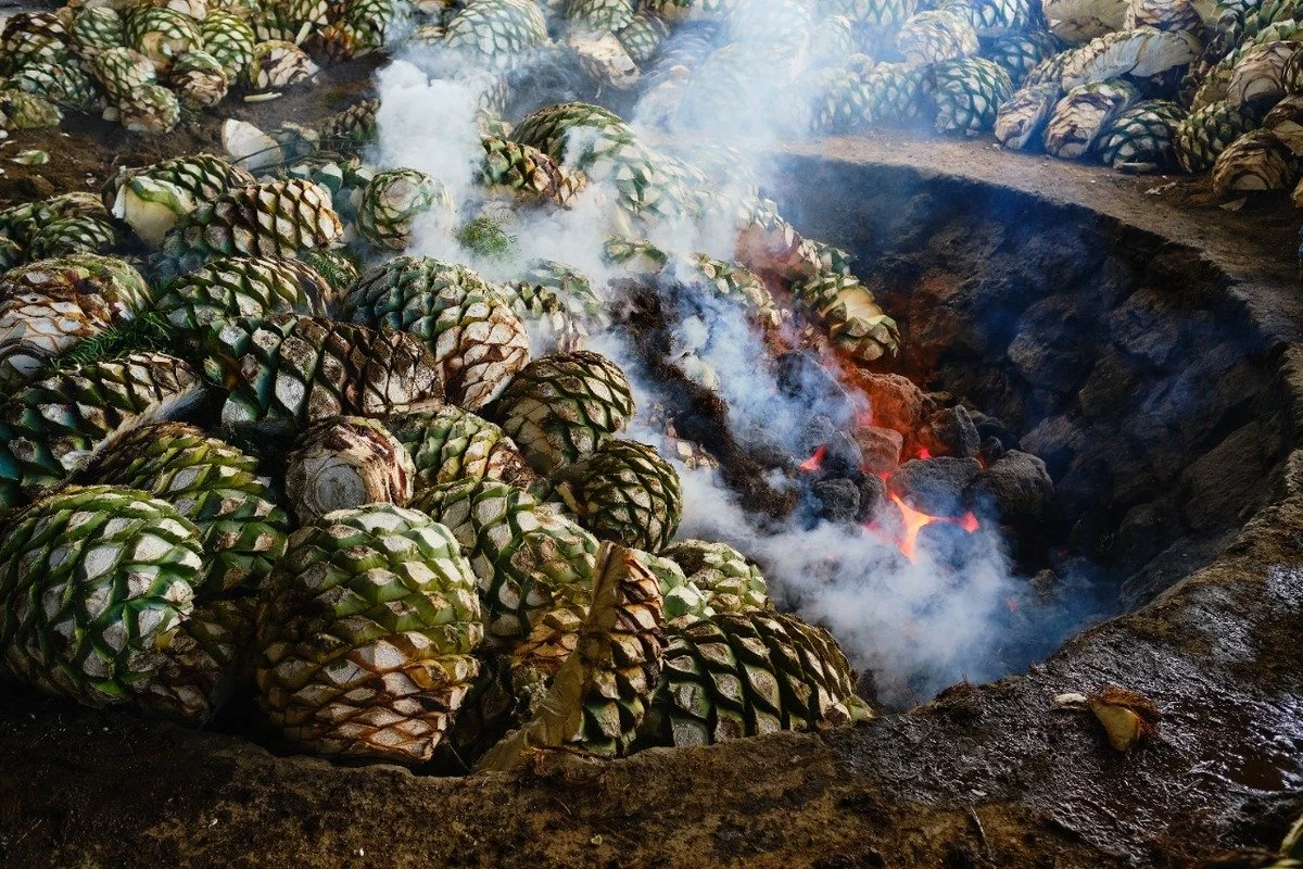 El mezcal: alquimia del fuego lento y memoria del México profundo