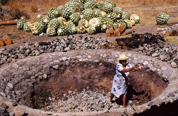 mezcal-5.webp