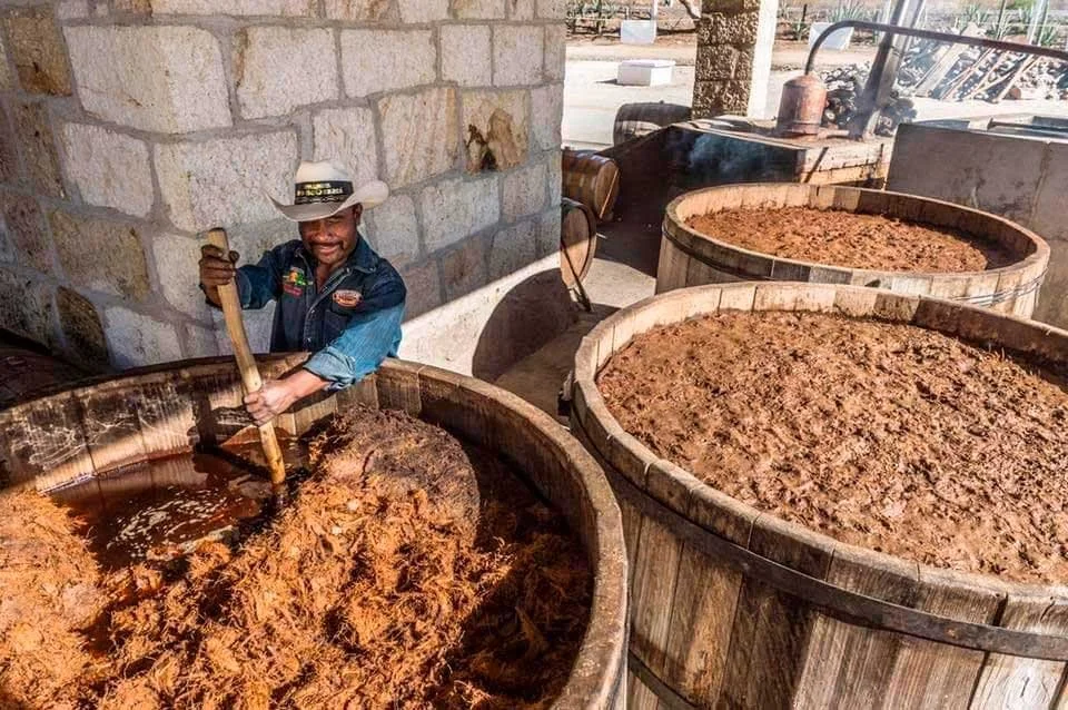 mezcal-oro-de-oaxaca-fermentacion.jpeg
