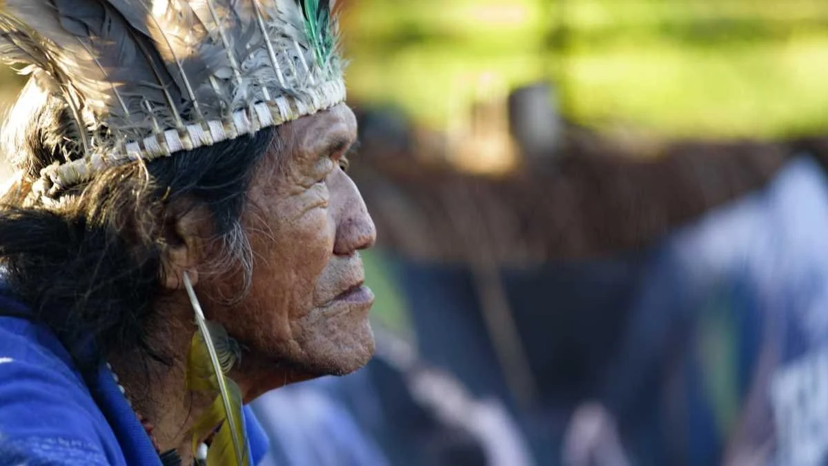 Guarani_culture_and_history_5af5af5b-93fd-4861-9e96-6d8a7ceab5d7.jpg