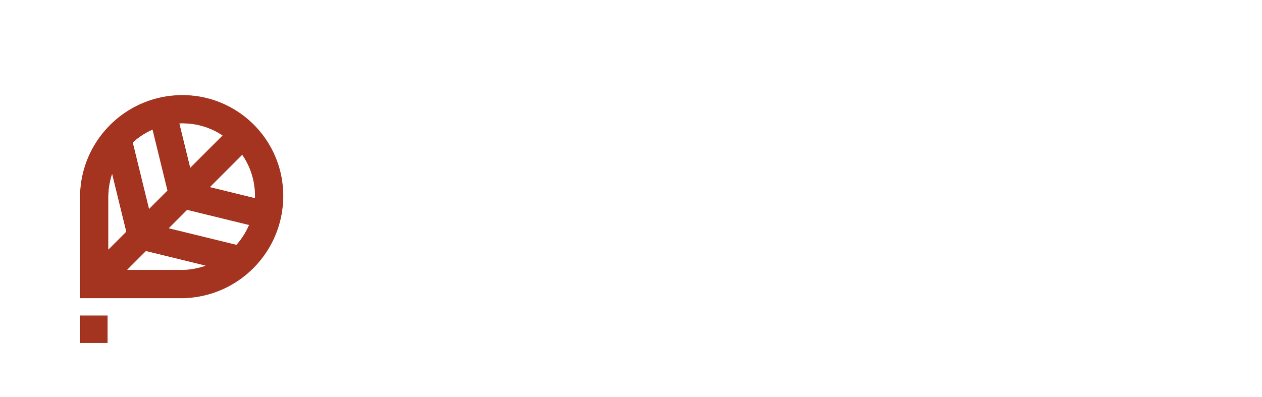 Pivot Project Consulting Services