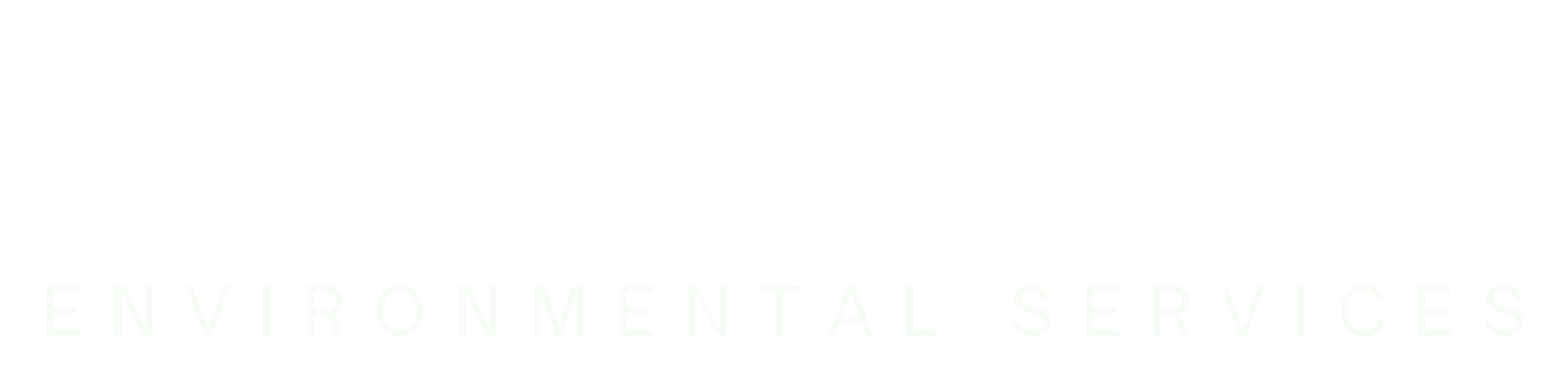 Logo for Franco Environmental Services with the company name in stylized text.