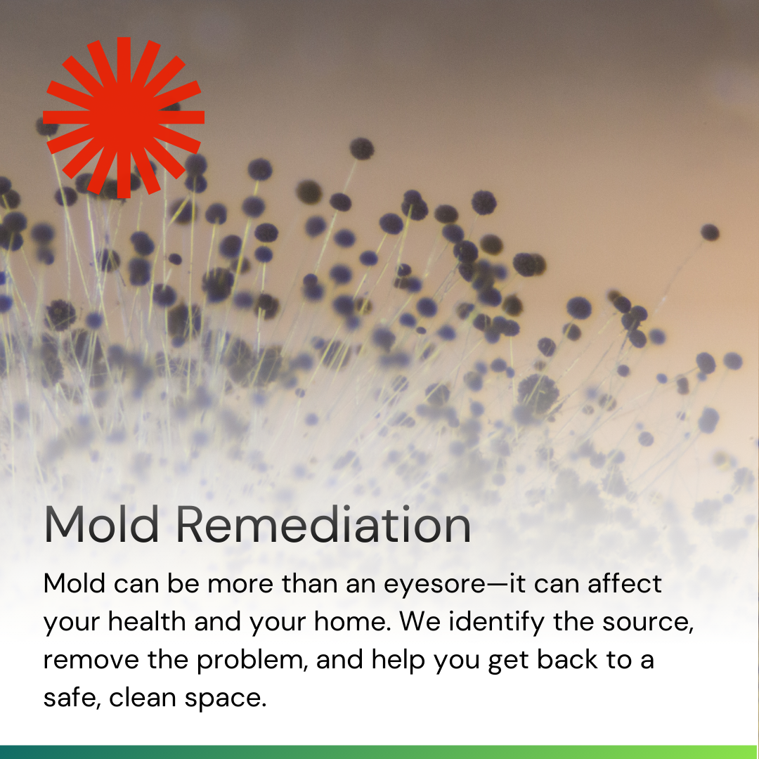 A promotional poster for mold remediation, featuring an abstract image of mold spores and text explaining mold's impact and removal services.