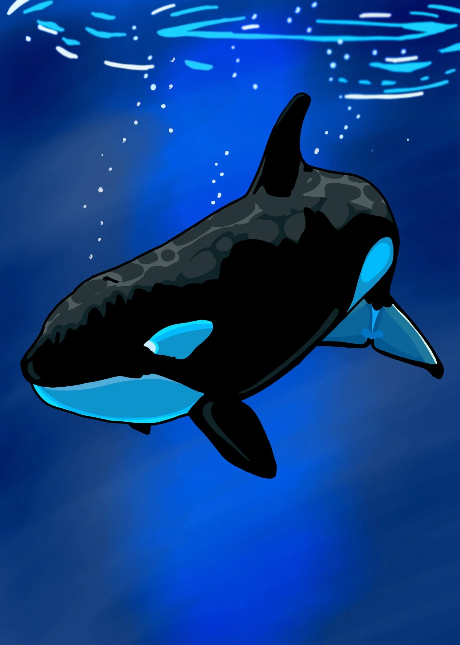 Color work for Sharks Have No Necks