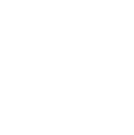 Storm Warrior Property Management (Copy)
