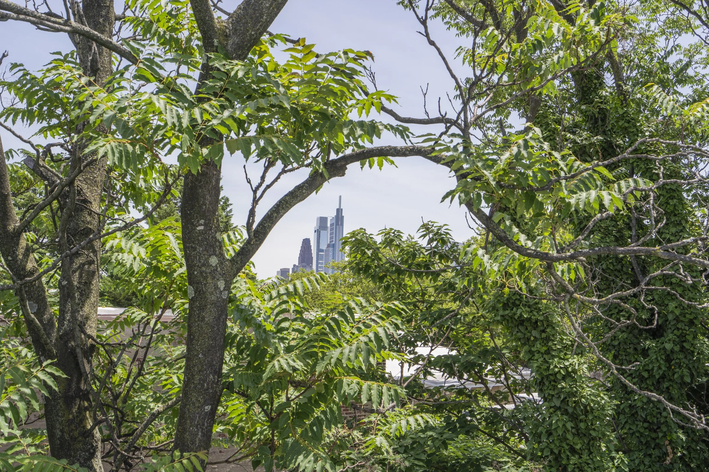 435 N 35th St_Unit 4 and EXT29.jpg