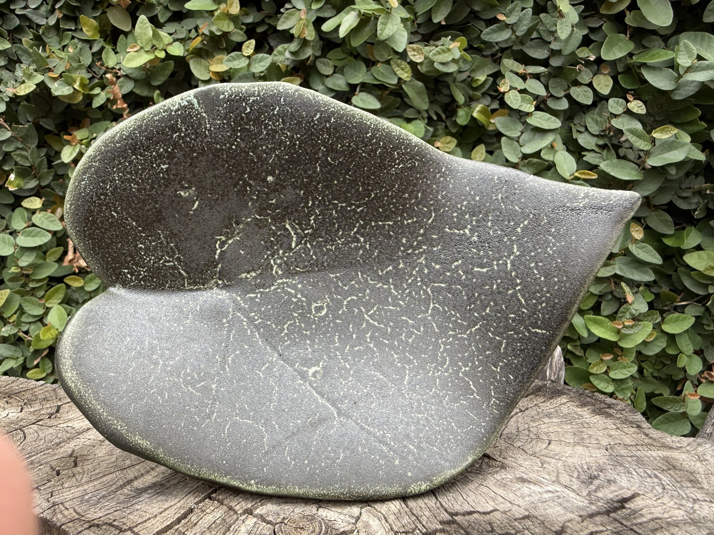 black leaf.JPG