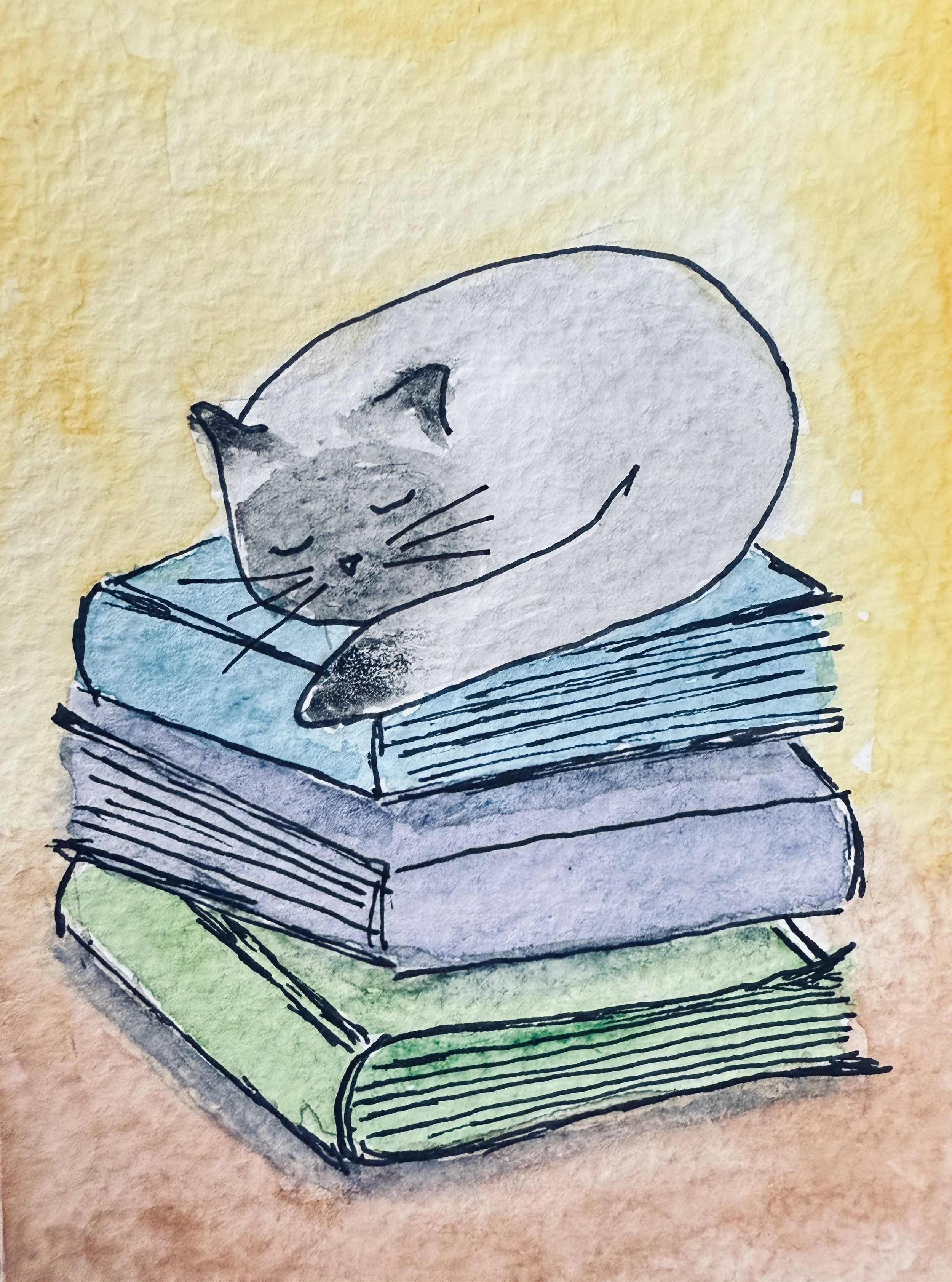 Book Cat.JPG