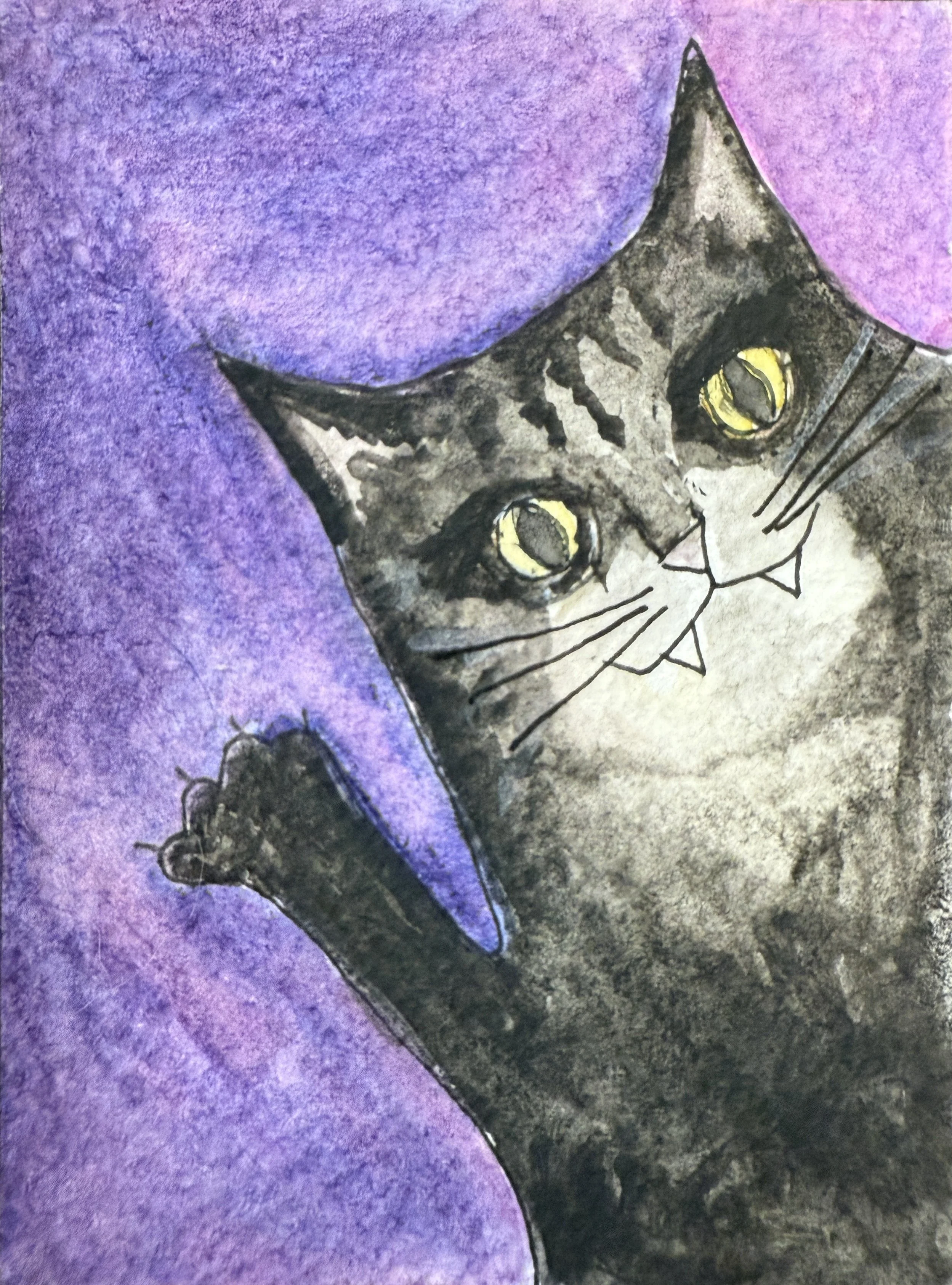 Hello Cat.JPG