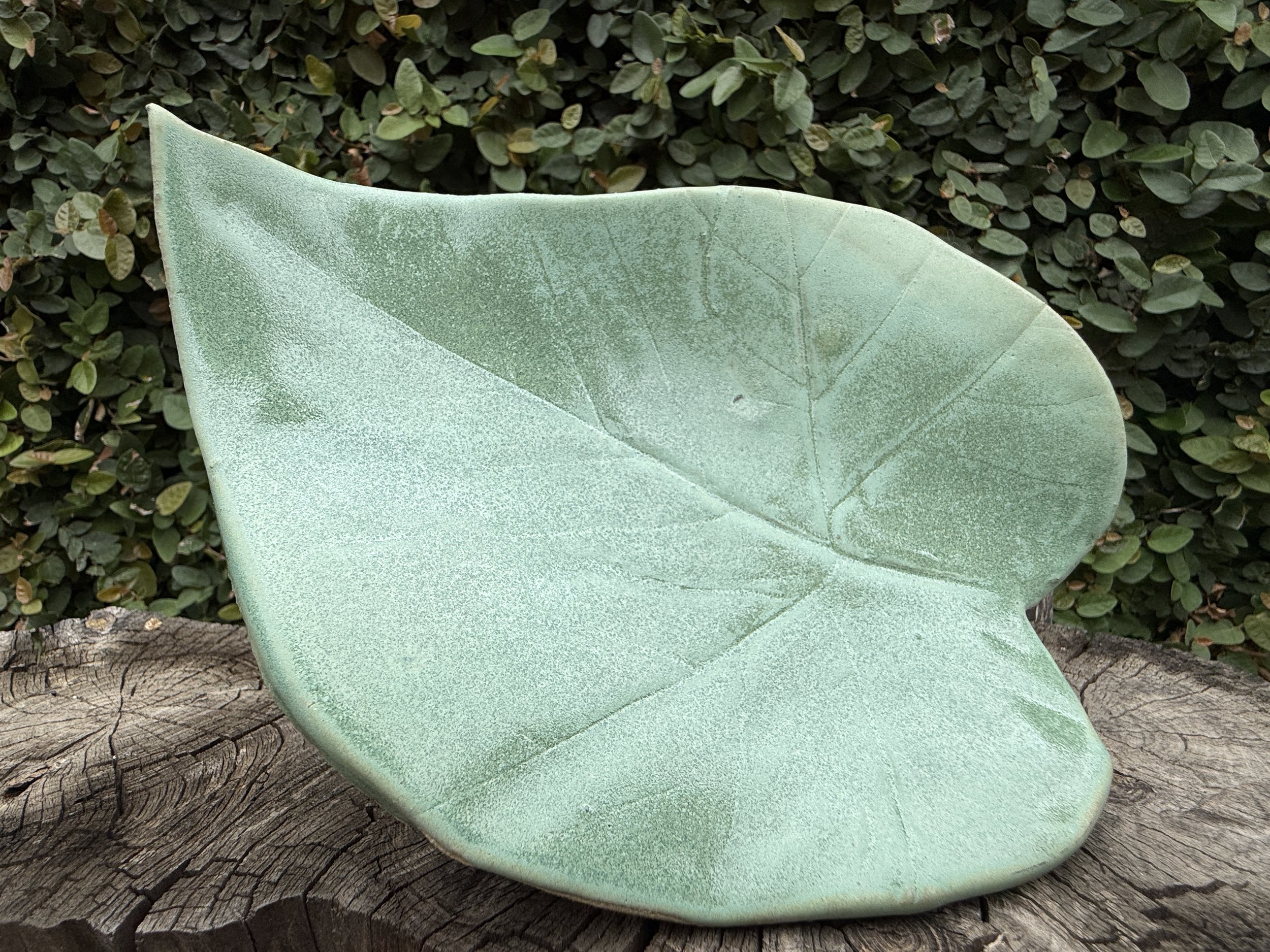 green leaf.JPG