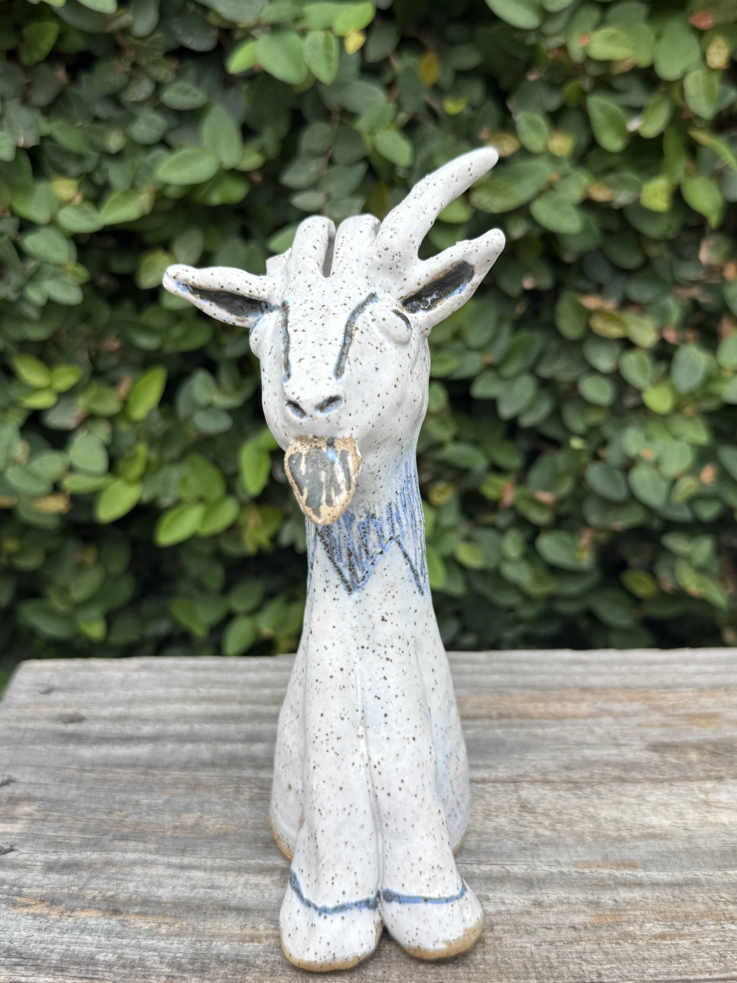 white goat.JPG