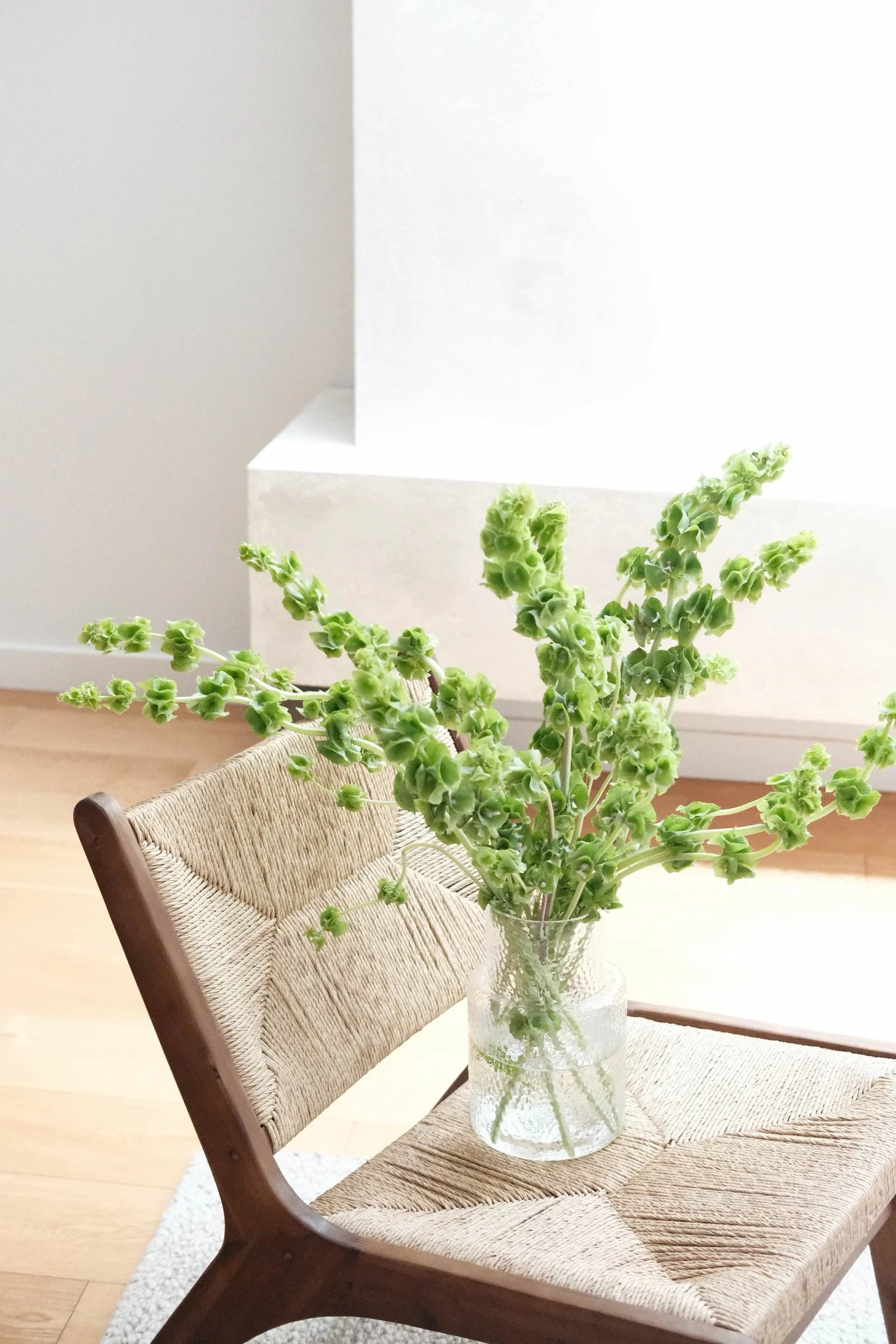 A glass vase with green flowering plant on a woven chair in a room with wooden floor and white wall.