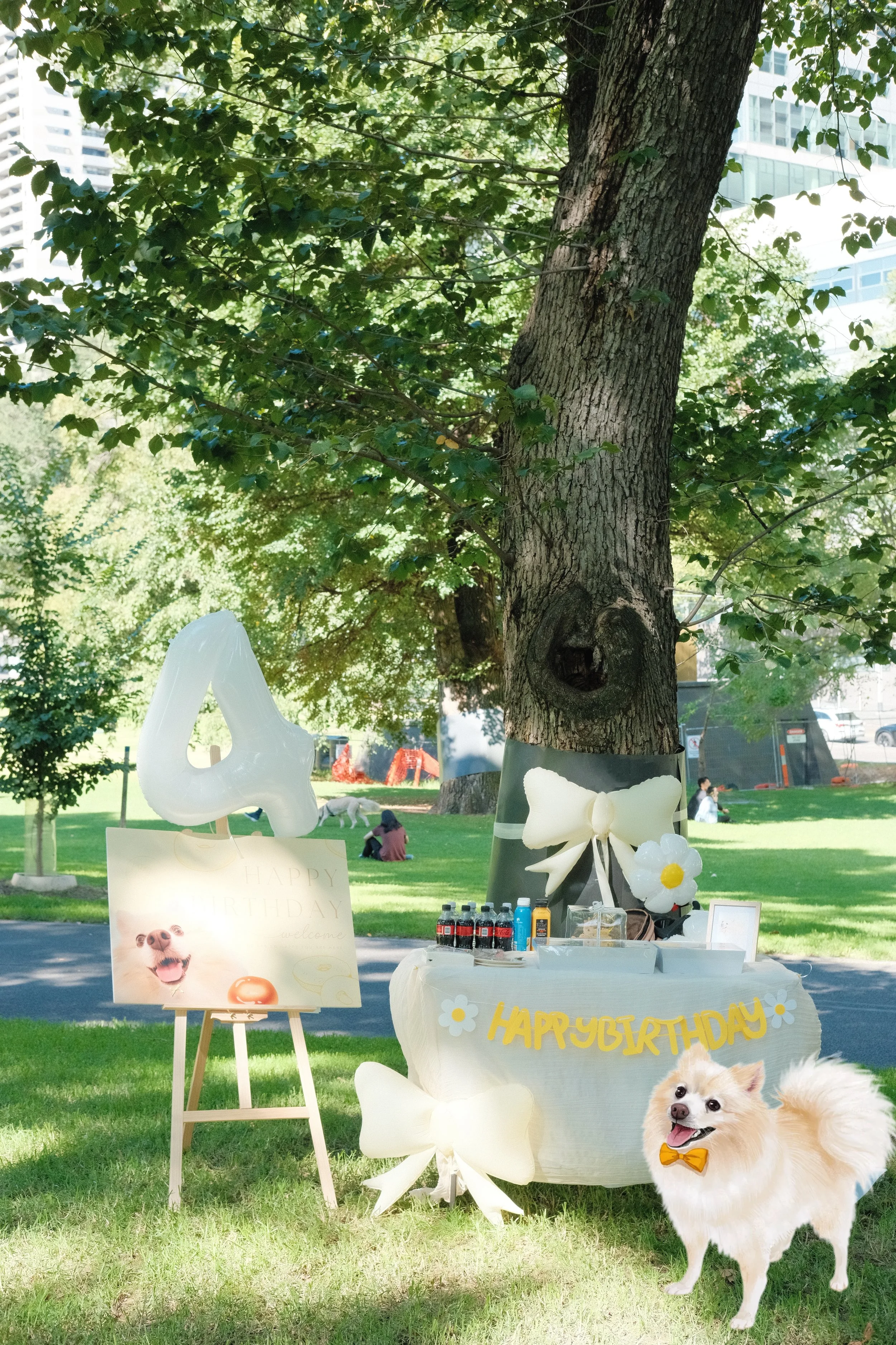 Outdoor park birthday celebration setup with a table decorated with a "HAPPY BIRTHDAY" sign, balloons, and a dog wearing an orange bow tie in front of a large tree, with people sitting on the grass in the background.