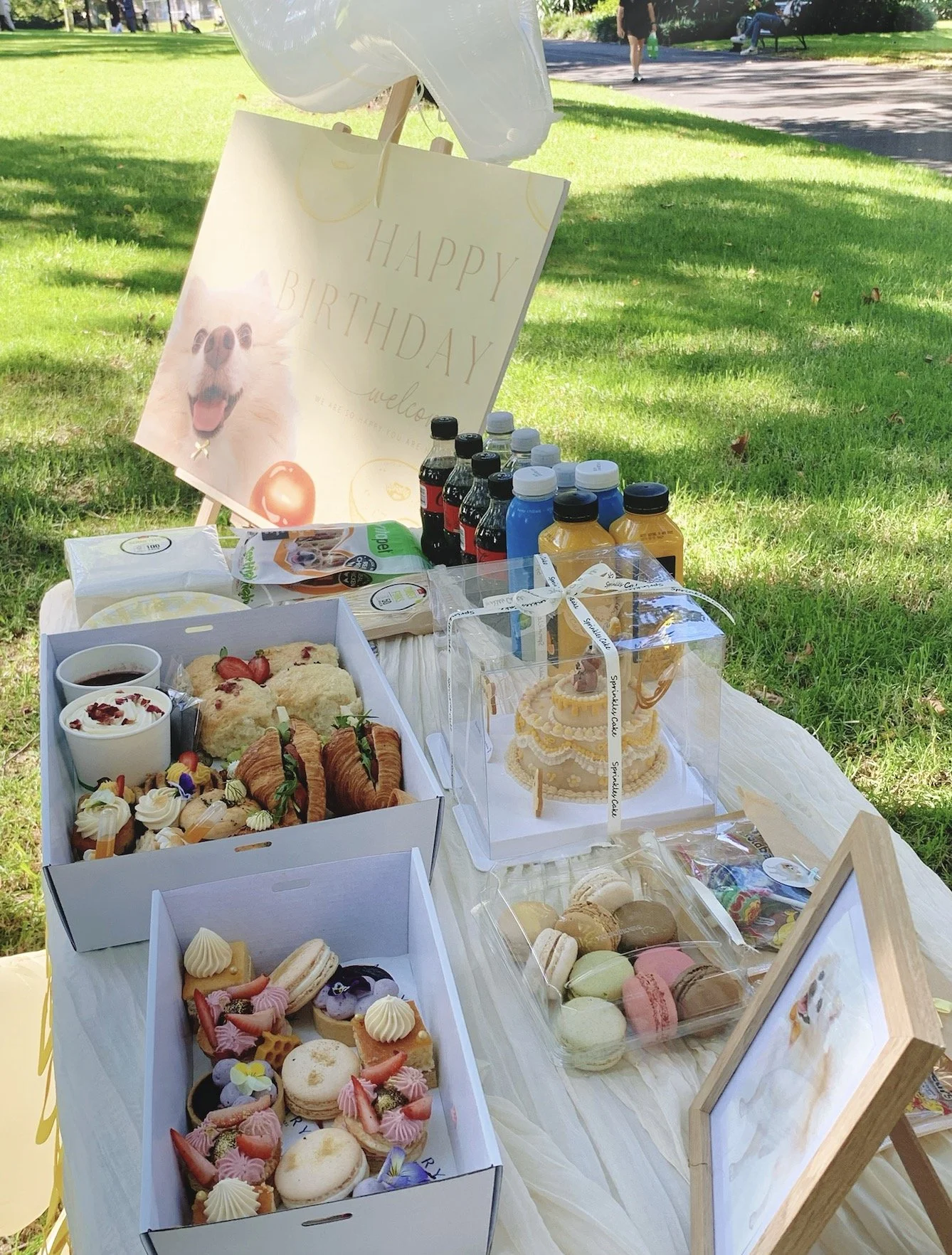 A birthday celebration setup outdoors with a table of desserts, drinks, and decorations on the grass. There are boxes of pastries, macarons, and cupcakes, along with bottled drinks and a 'Happy Birthday' sign with a dog picture.