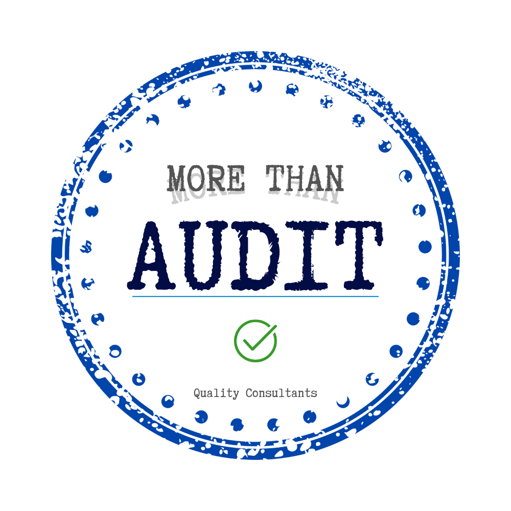 MORE THAN AUDIT