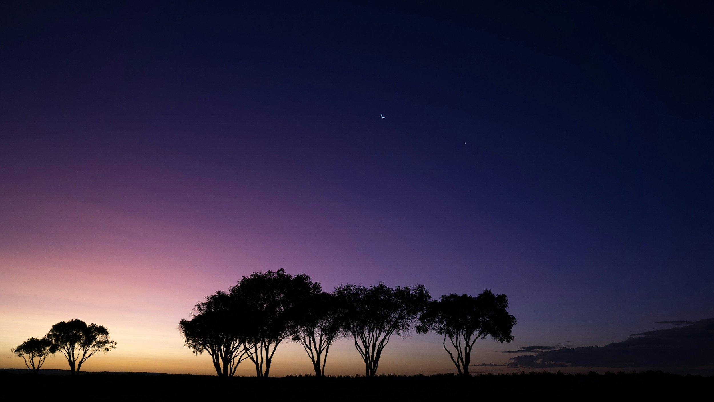 Silhouetted trees against a twilight sky with a crescent moon and a star.