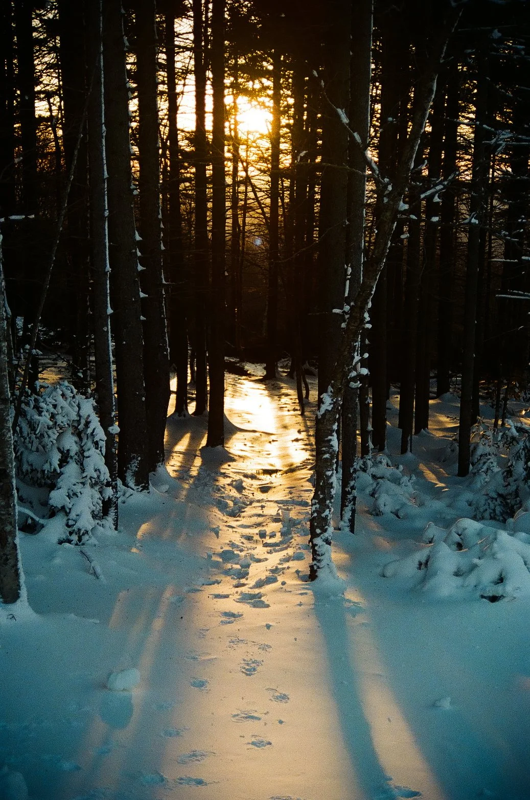snowshoecabin2021christmas-03.jpg