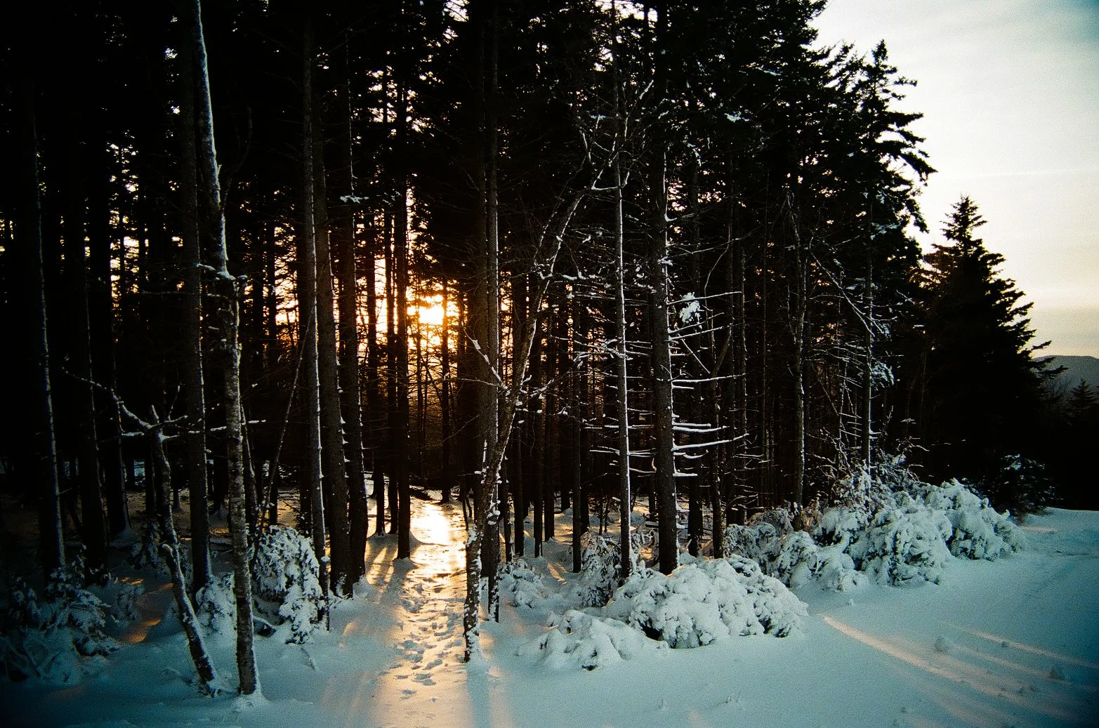 snowshoecabin2021christmas-04.jpg