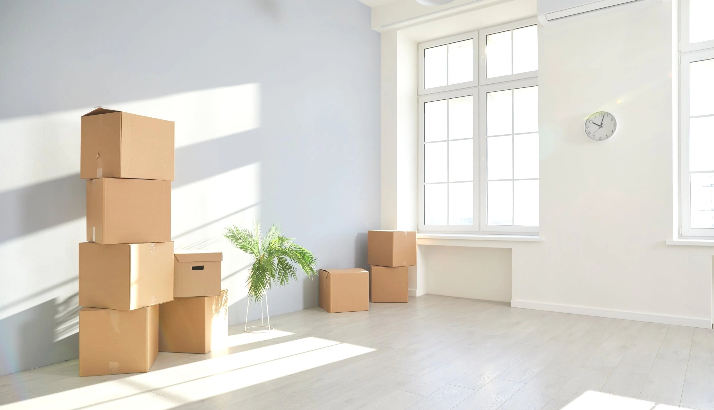 Empty room with sunlight streaming in, several cardboard boxes, a houseplant, and a wall clock.