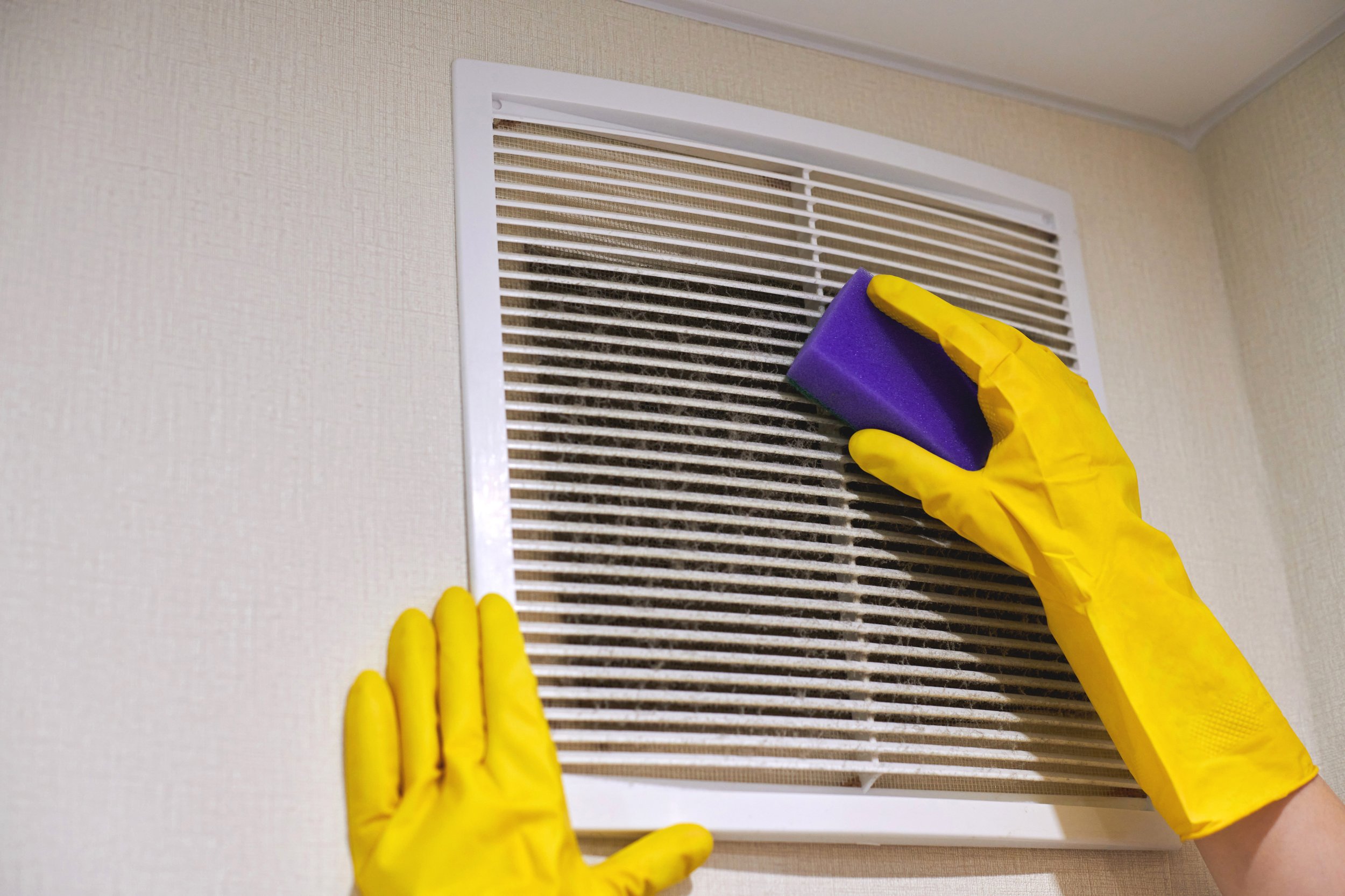 Person cleaning a wall vent with a purple sponge while wearing yellow rubber gloves.