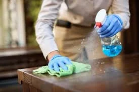 Professional Cleaning Services in Miami