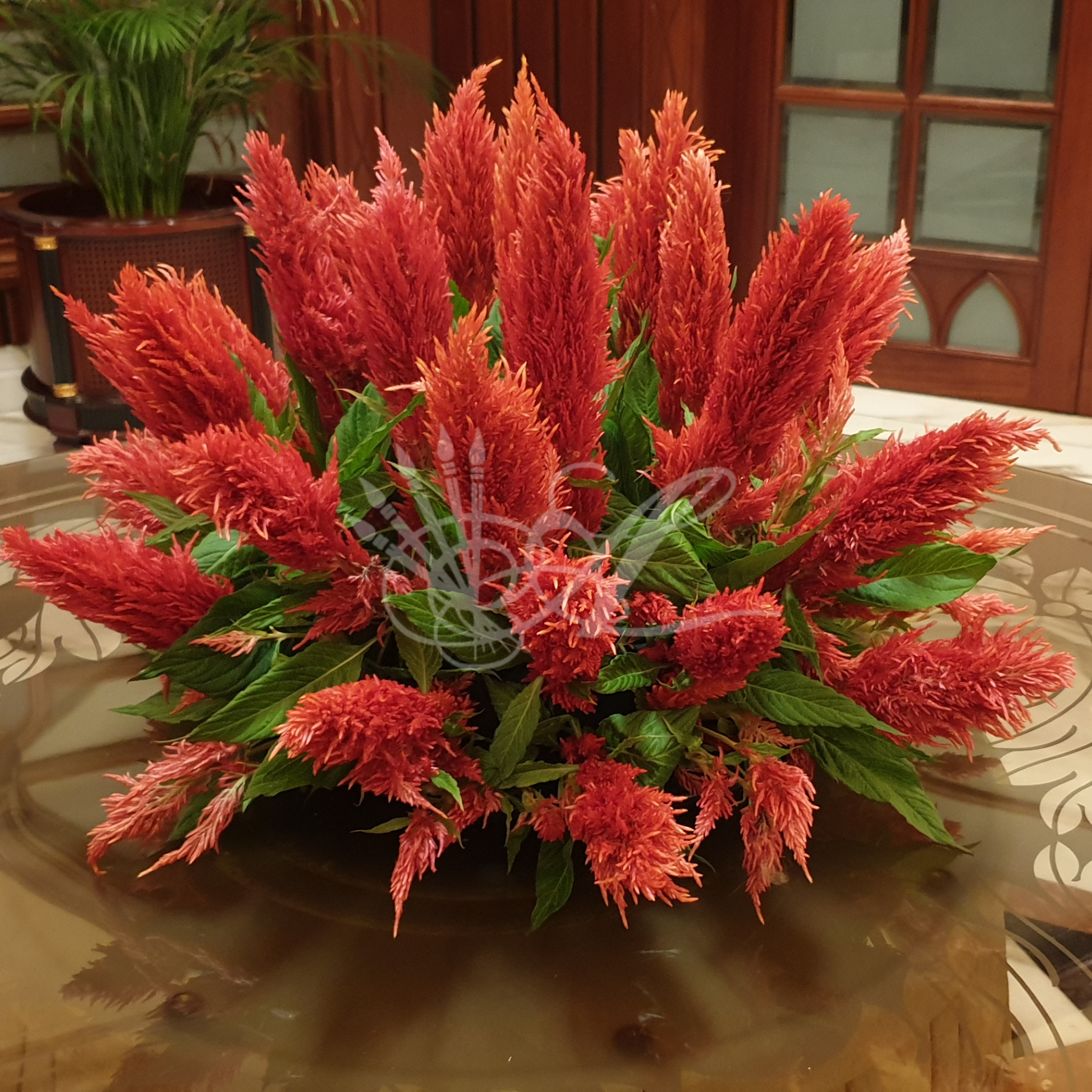 centerpiece (27).png