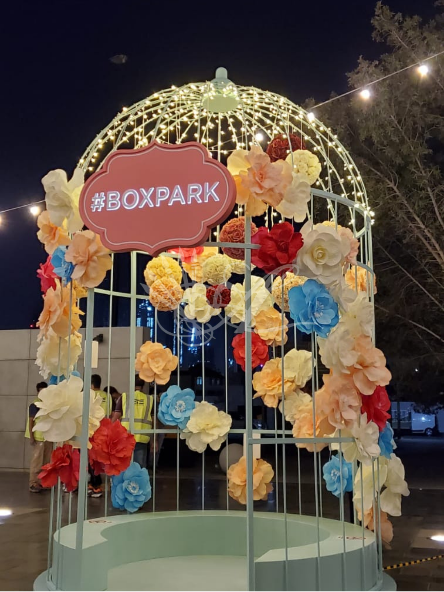 corporate portrait (7).png