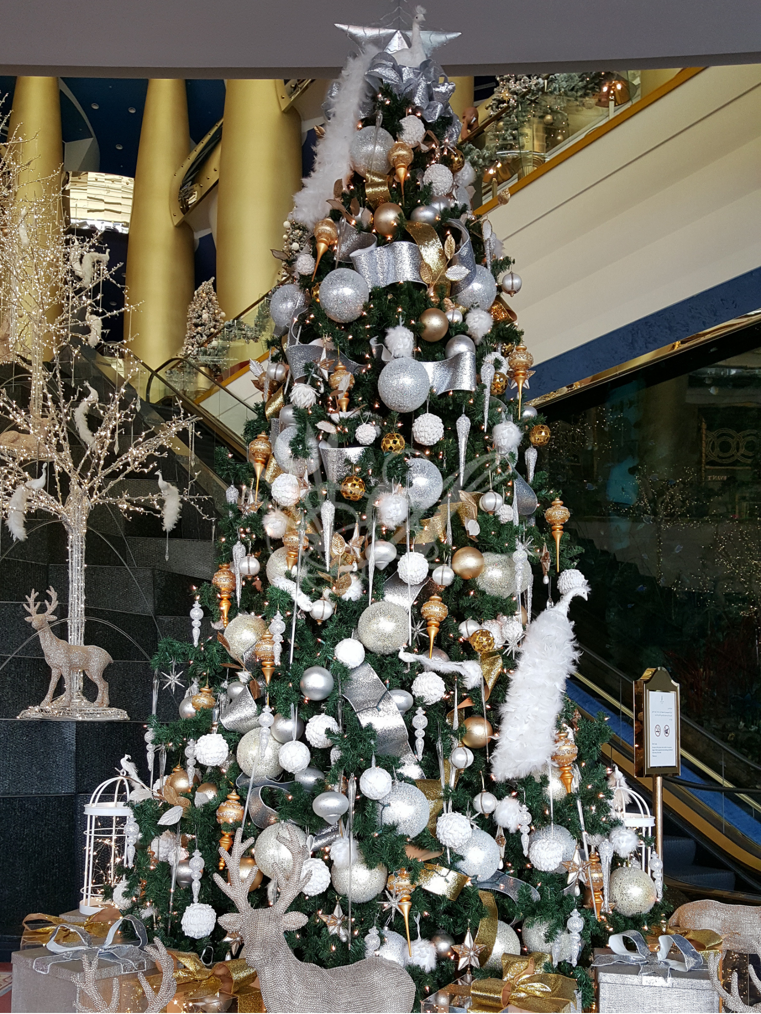 holiday portrait (2).png