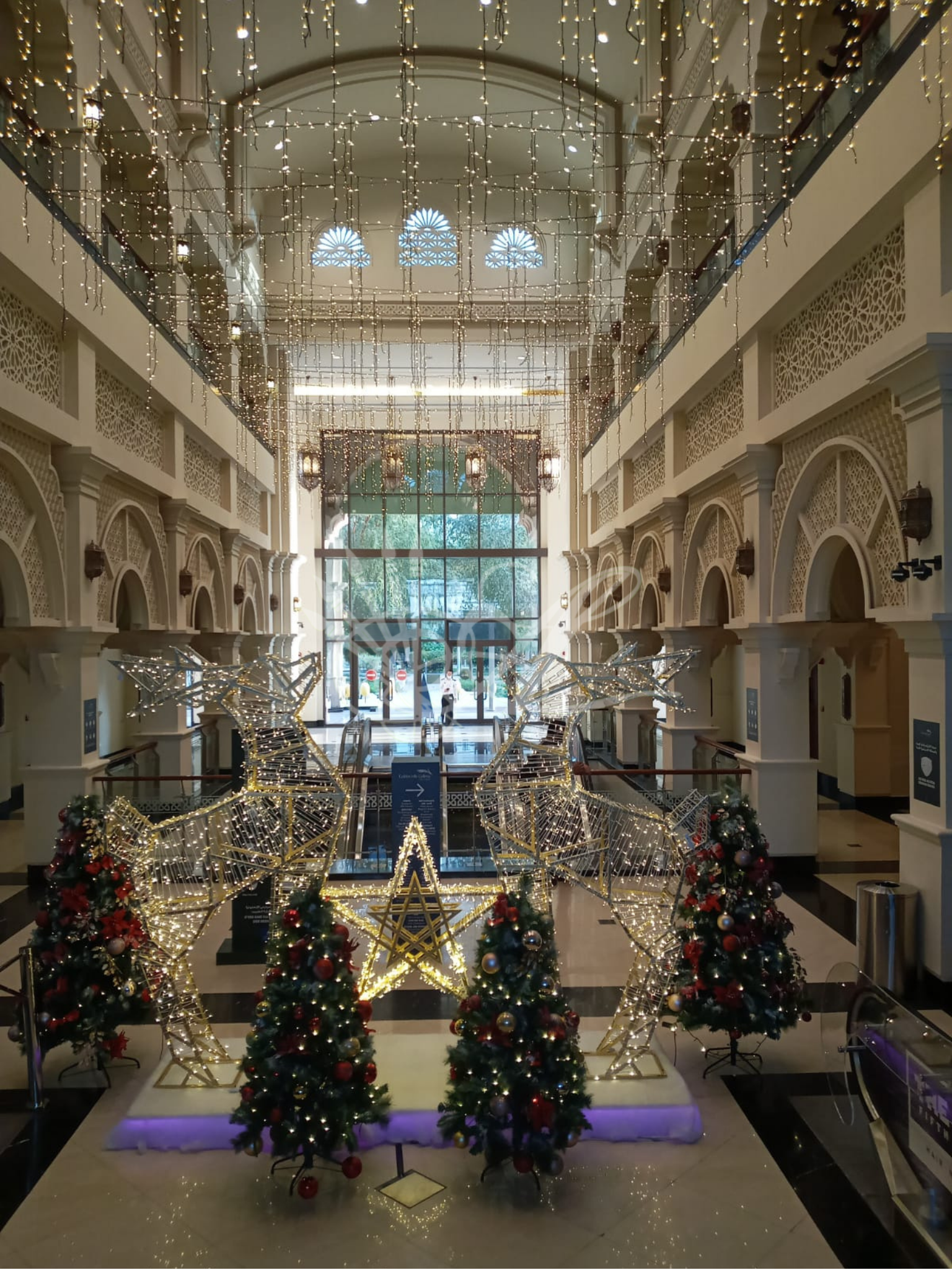 holiday portrait (5).png