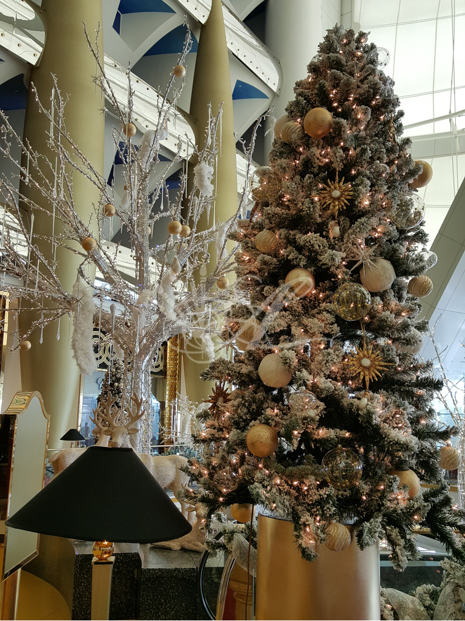 holiday portrait.png