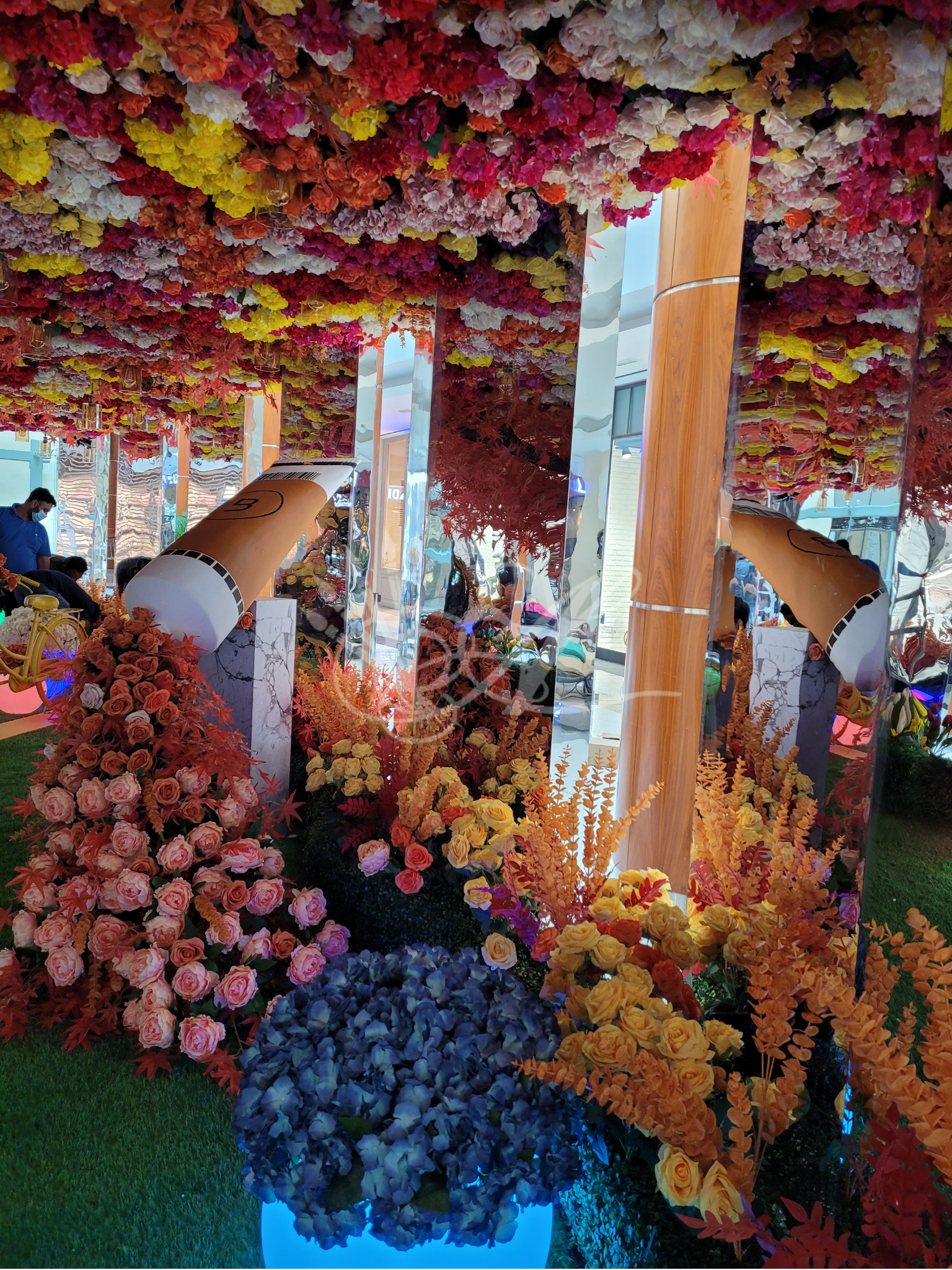 corporate portrait (5).png