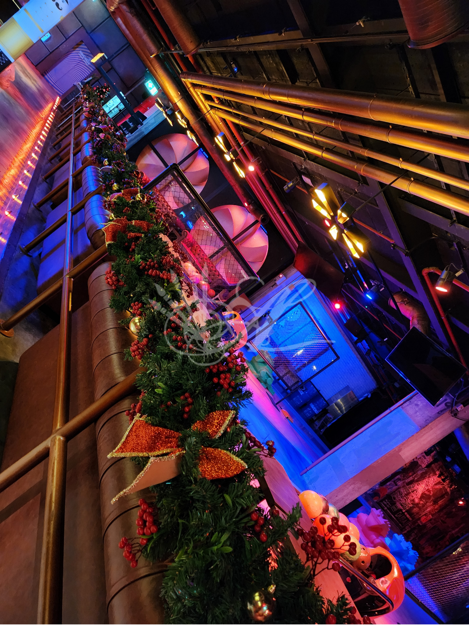 holiday portrait (4).png