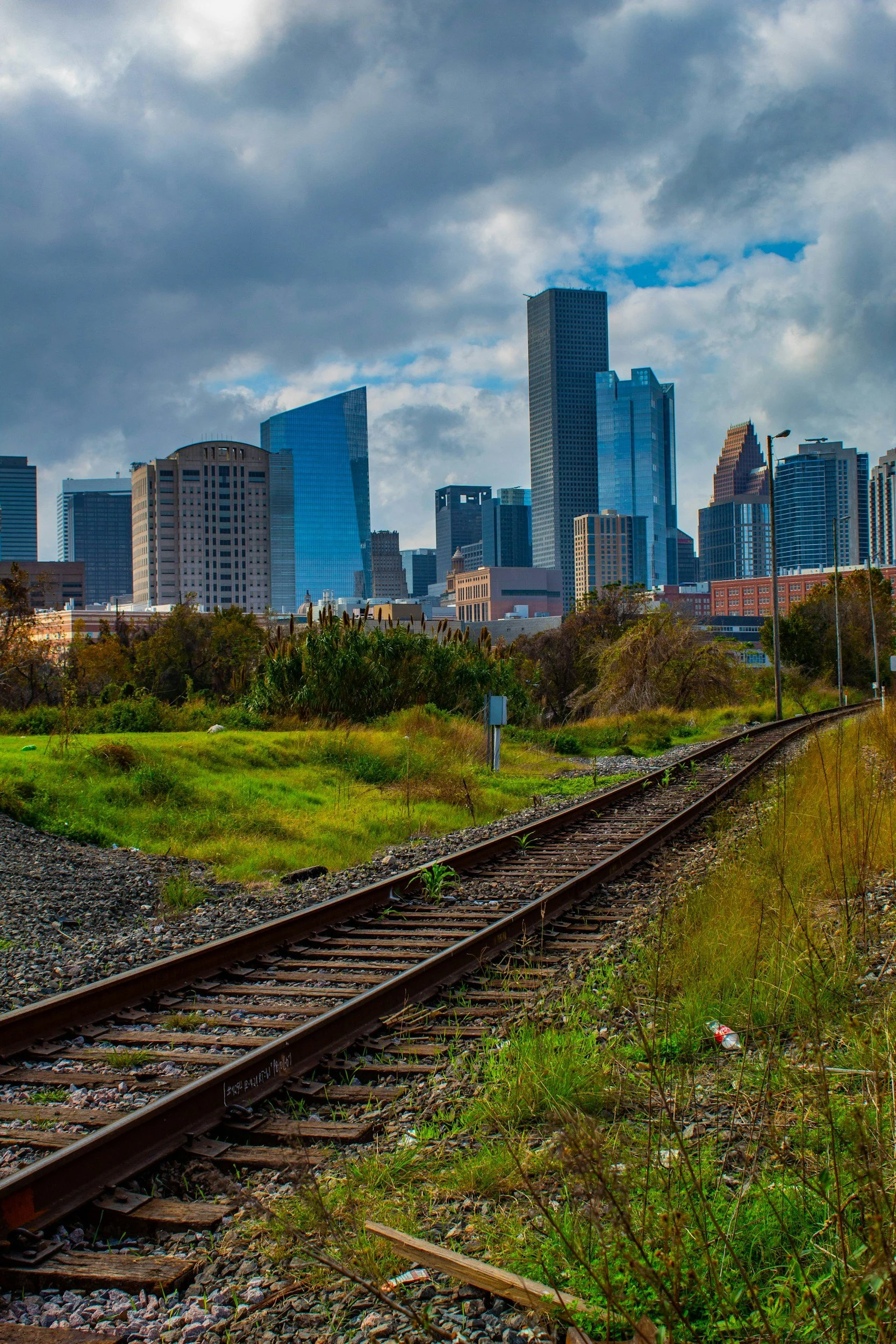 A city skyline with tall modern buildings in the background and an overgrown railway track in the foreground, with green grass and wild plants, under a cloudy sky.