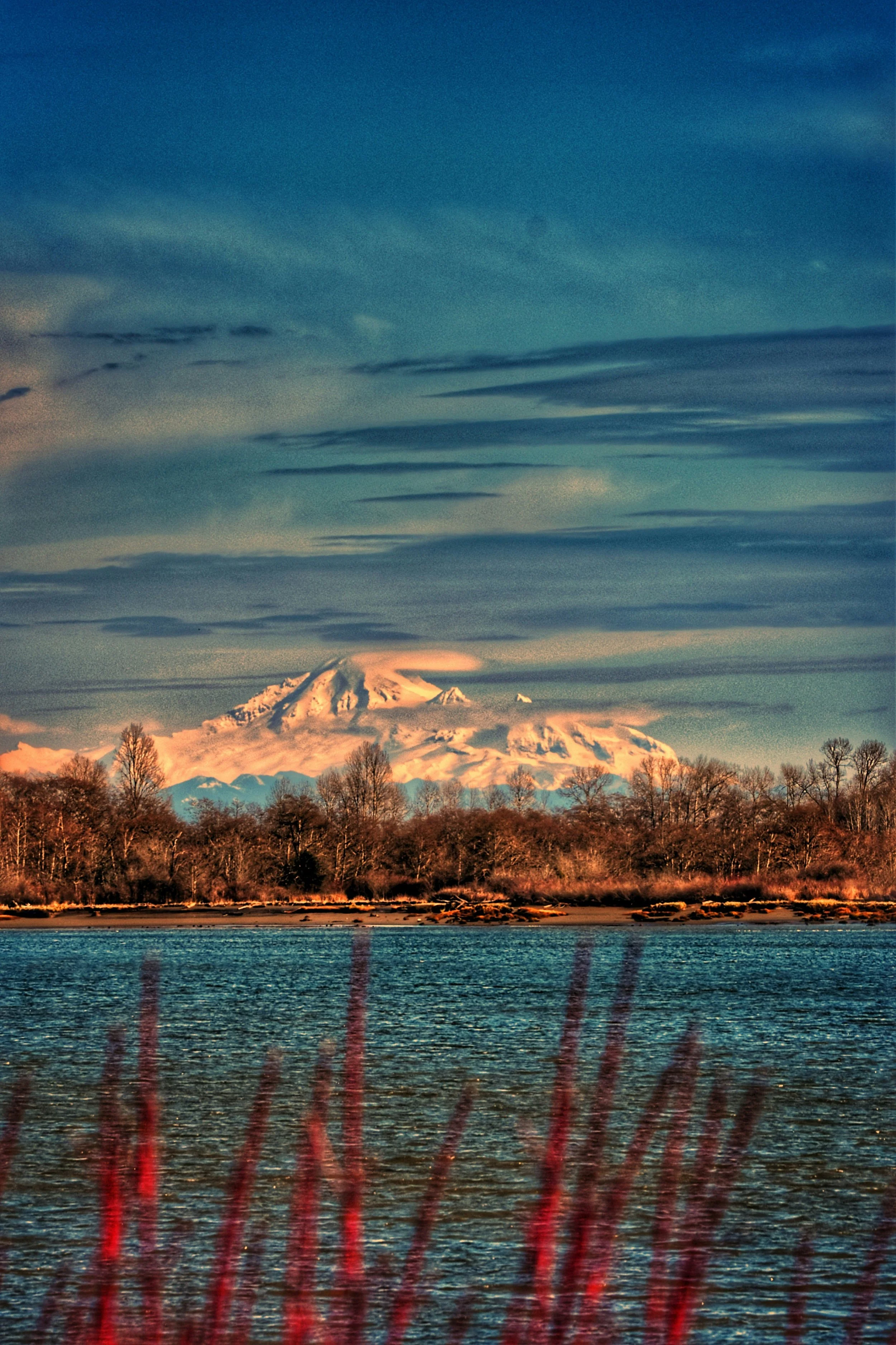 Snow-capped mountain behind trees with a body of water in the foreground and red grass at the bottom.