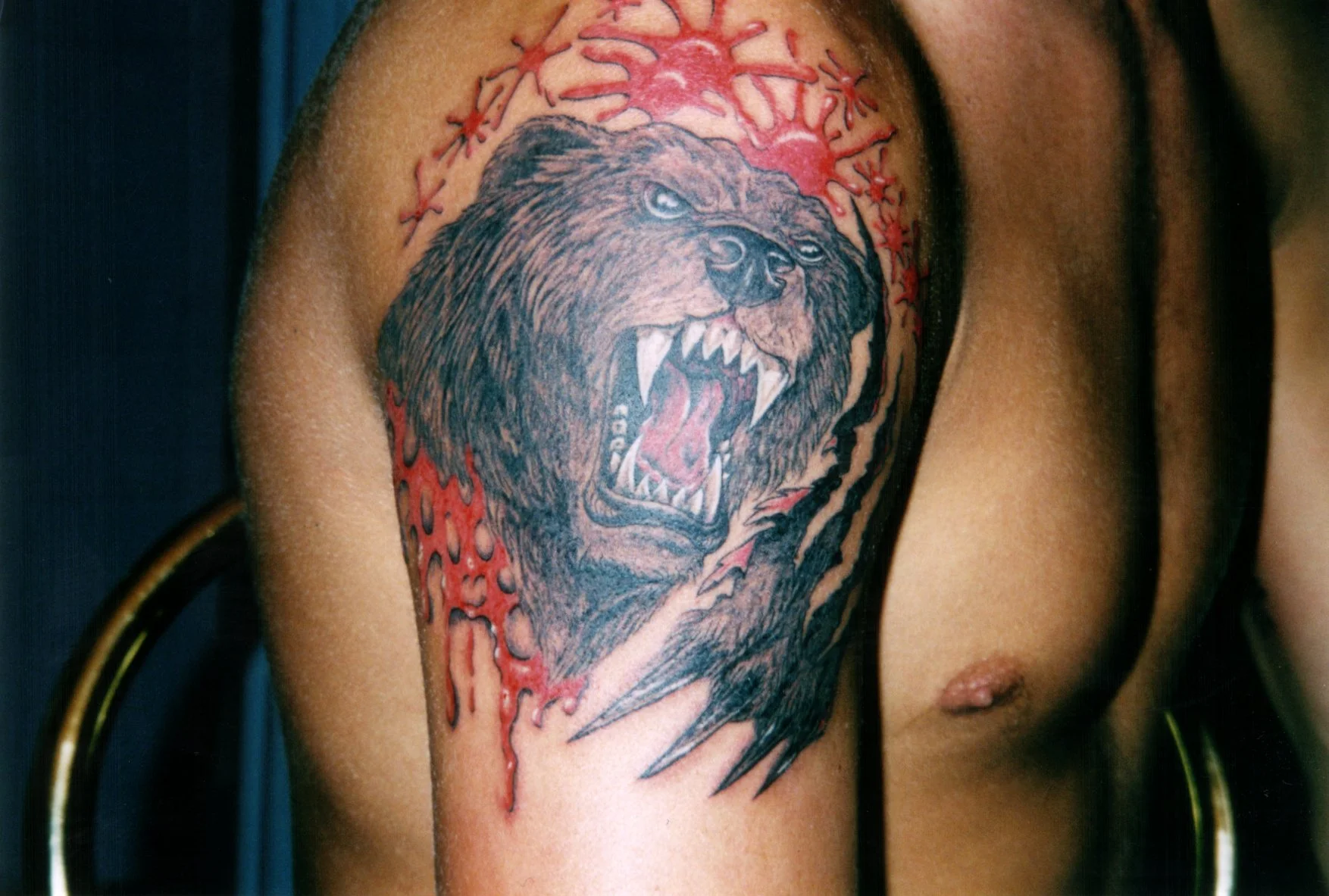 bear.jpg